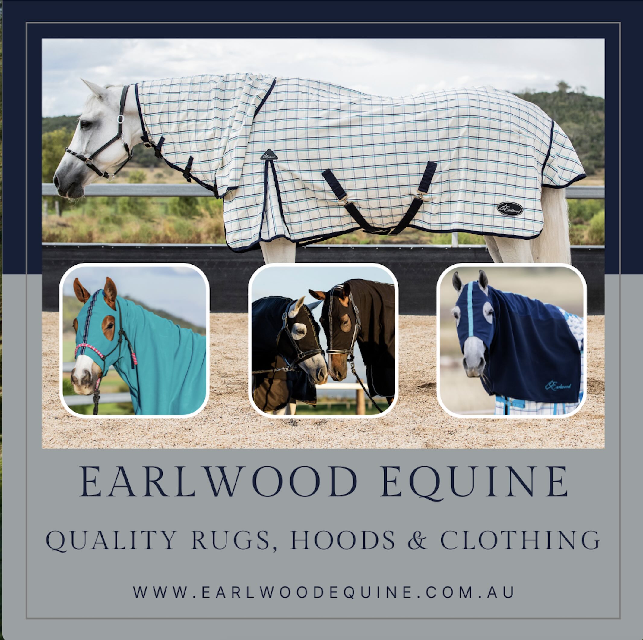 Earlwood Equine